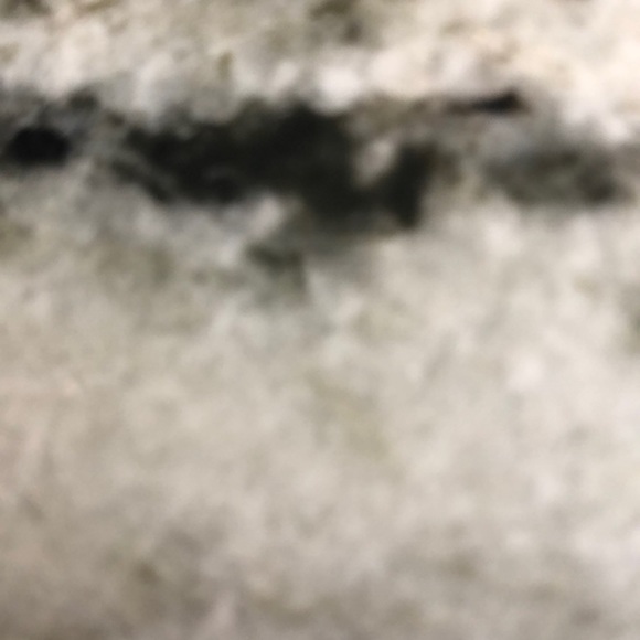 Meet your Posher, Lisa - Picture 1 of 1